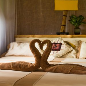 Bed with canopy and swans made of towels in bungalow