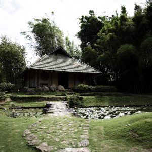 cabane-paisible-dans-bois