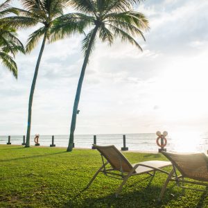 bleach chairs under the palm tree viewing the sunset on the sea